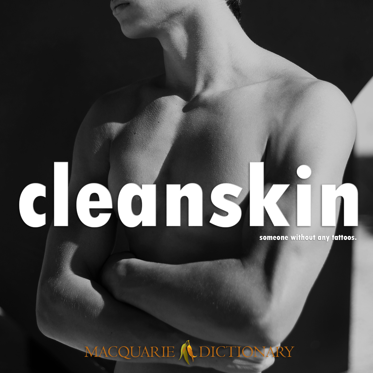 Image of Macquarie Dictionary Word of the Year cleanskin someone without any tattoos. Image of Macquarie Dictionary Word of the Year cleanskin someone without any tattoos.